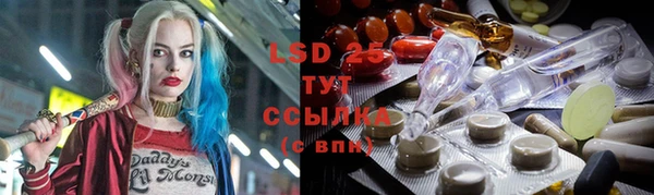 spice Арсеньев