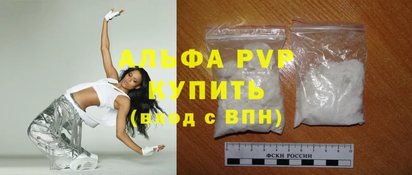 индика Алексин