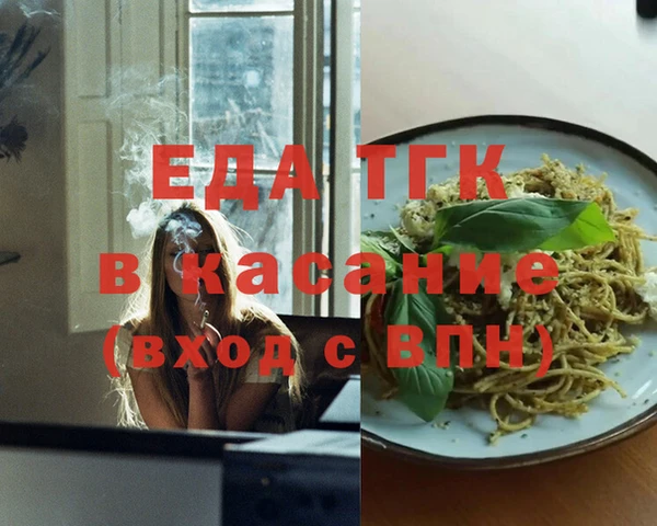 индика Алексин
