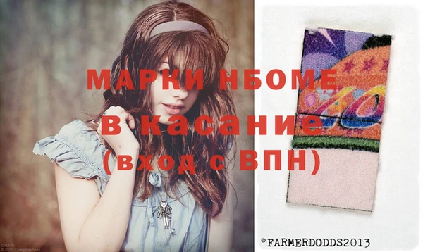 индика Алексин