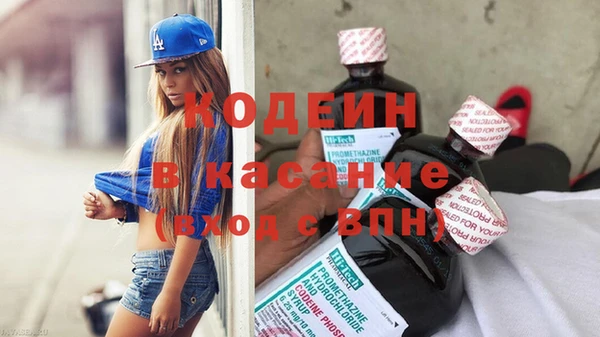 индика Алексин
