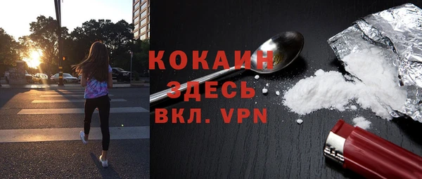 spice Арсеньев