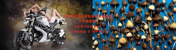 мескалин Алексеевка
